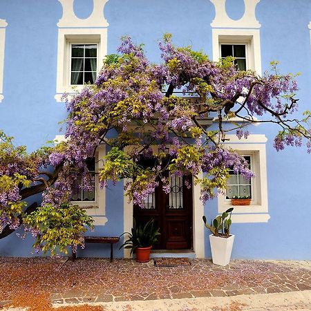 Отель The Blue House Толмин Экстерьер фото